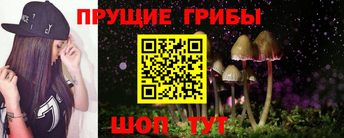Псилоцибиновые грибы мицелий Златоуст
